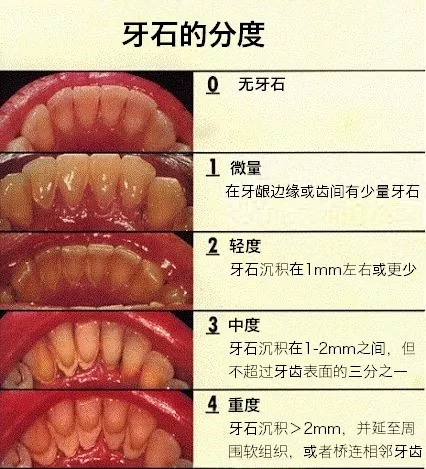 微信图片_20190926091039.png